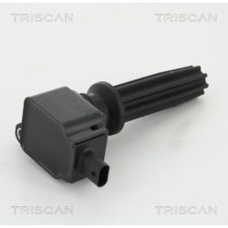 Ritė, uždegimas TRISCAN 8860 16036