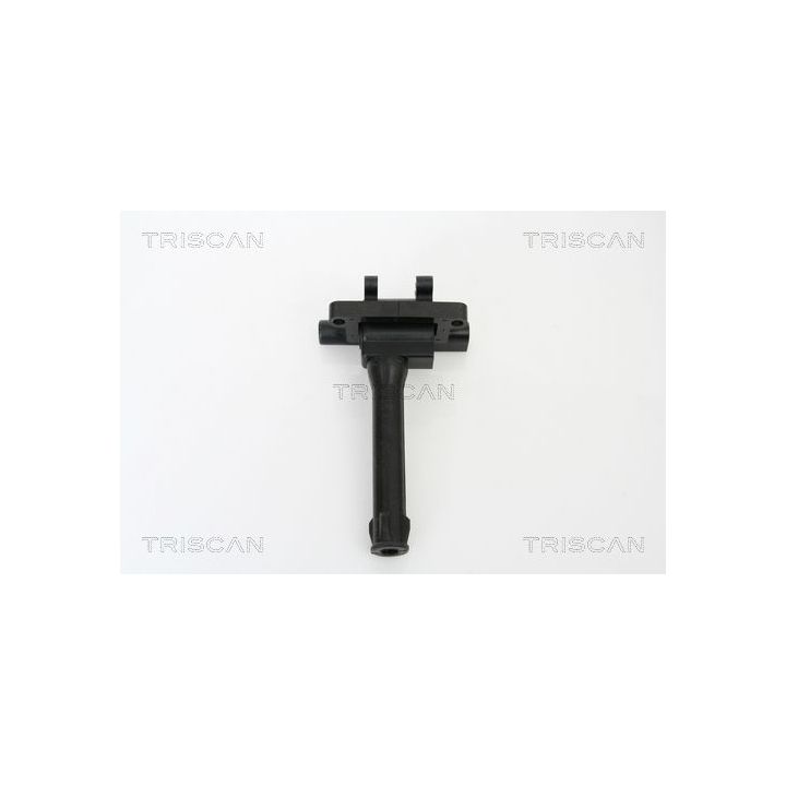 Ritė, uždegimas TRISCAN 8860 17009