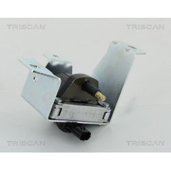 Ritė, uždegimas TRISCAN 8860 17012