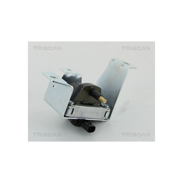 Ritė, uždegimas TRISCAN 8860 17012