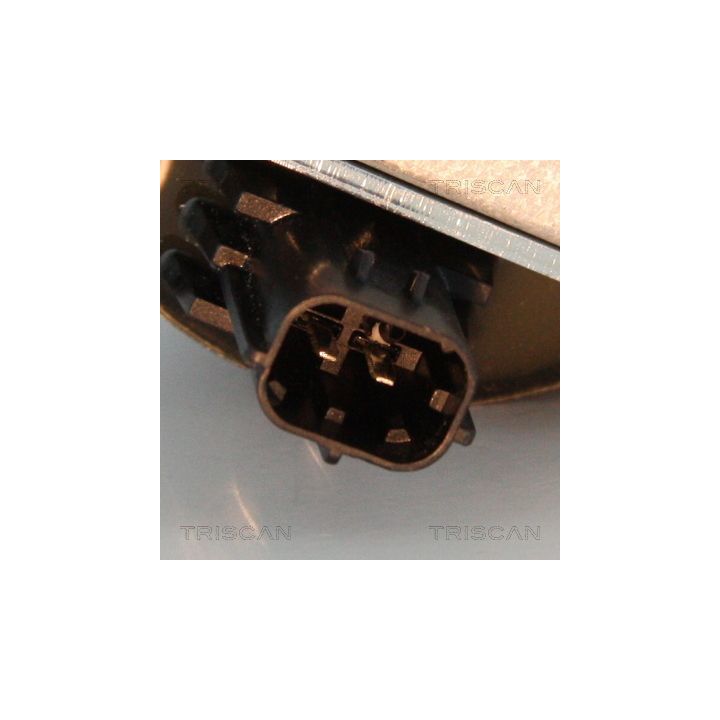 Ritė, uždegimas TRISCAN 8860 17012