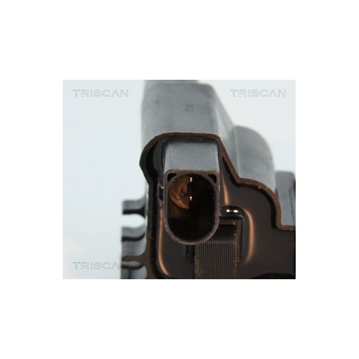 Ritė, uždegimas TRISCAN 8860 17014