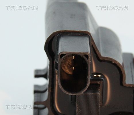 Ritė, uždegimas TRISCAN 8860 17014
