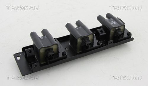 Ritė, uždegimas TRISCAN 8860 18009