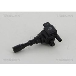 Ritė, uždegimas TRISCAN 8860 18010
