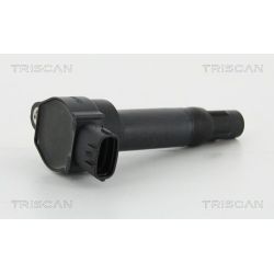Ritė, uždegimas TRISCAN 8860 23026