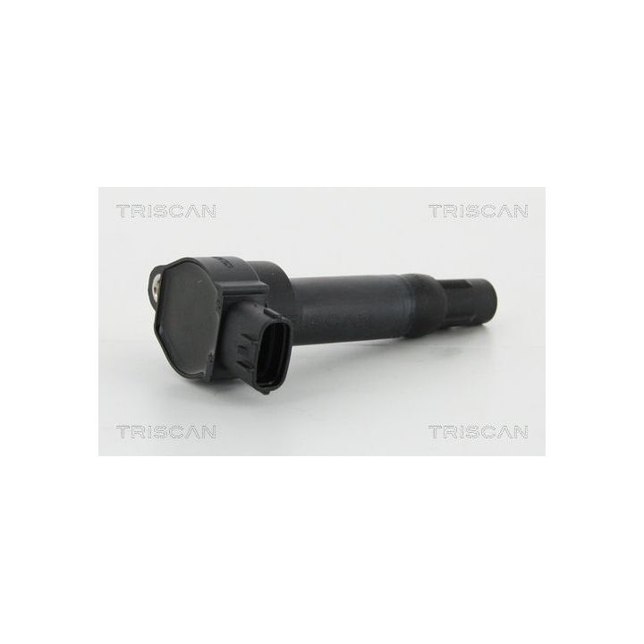 Ritė, uždegimas TRISCAN 8860 23026