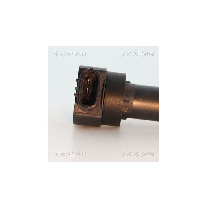 Ritė, uždegimas TRISCAN 8860 23026