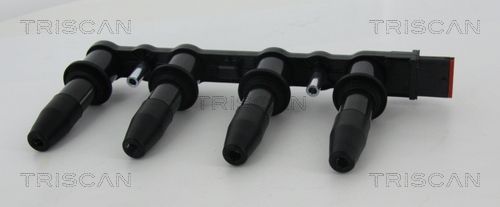 Ritė, uždegimas TRISCAN 8860 24017