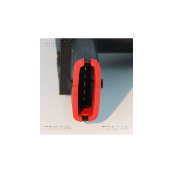 Ritė, uždegimas TRISCAN 8860 24017