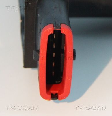 Ritė, uždegimas TRISCAN 8860 24017
