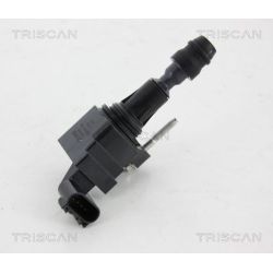 Ritė, uždegimas TRISCAN 8860 24026