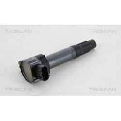 Ritė, uždegimas TRISCAN 8860 24027