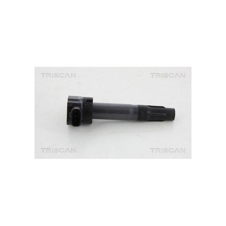 Ritė, uždegimas TRISCAN 8860 24027