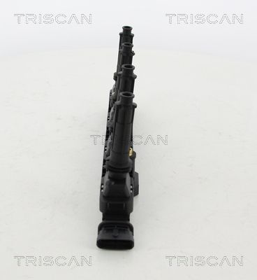 Ritė, uždegimas TRISCAN 8860 24032