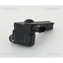 Ritė, uždegimas TRISCAN 8860 24033
