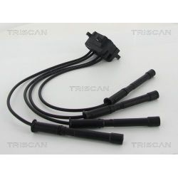 Ritė, uždegimas TRISCAN 8860 25005