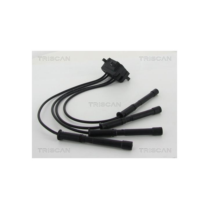 Ritė, uždegimas TRISCAN 8860 25005
