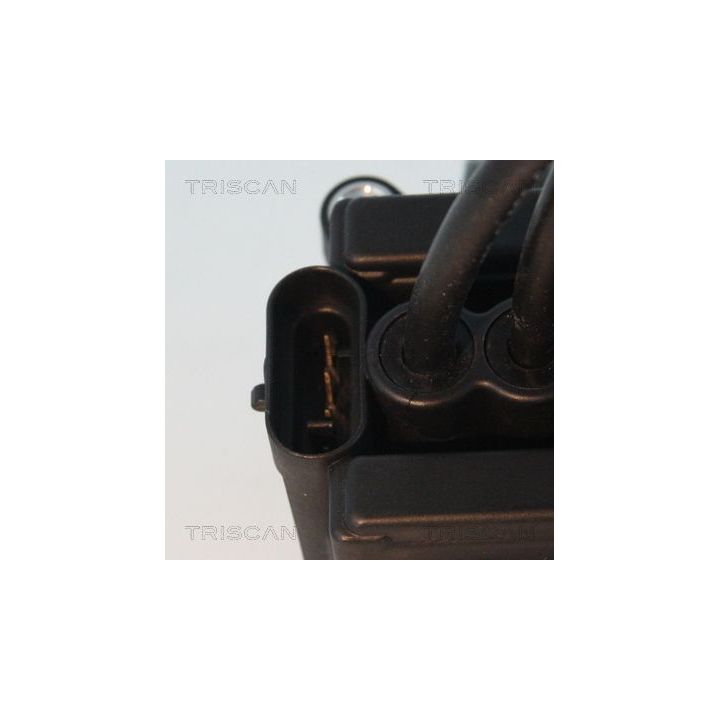 Ritė, uždegimas TRISCAN 8860 25005