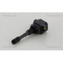 Ritė, uždegimas TRISCAN 8860 25008