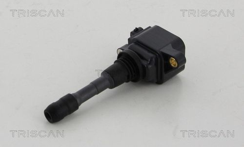 Ritė, uždegimas TRISCAN 8860 25008