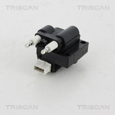 Ritė, uždegimas TRISCAN 8860 25014