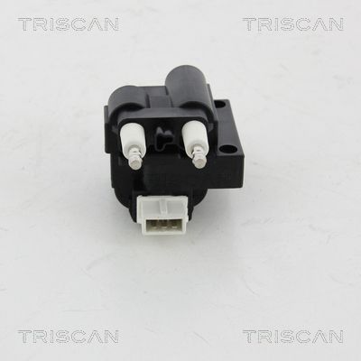 Ritė, uždegimas TRISCAN 8860 25014