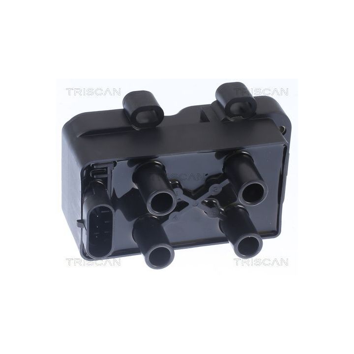 Ritė, uždegimas TRISCAN 8860 25016