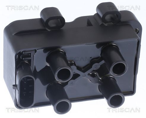 Ritė, uždegimas TRISCAN 8860 25016