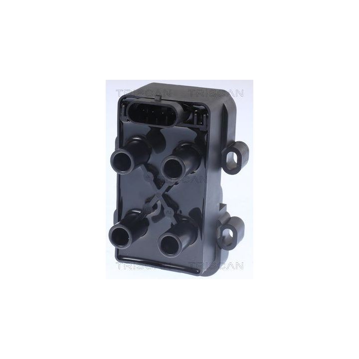 Ritė, uždegimas TRISCAN 8860 25016