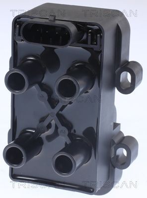 Ritė, uždegimas TRISCAN 8860 25016