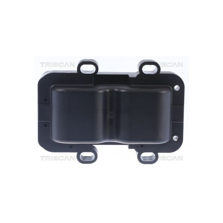 Ritė, uždegimas TRISCAN 8860 25016