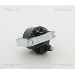 Ritė, uždegimas TRISCAN 8860 25017