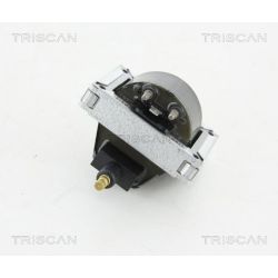 Ritė, uždegimas TRISCAN 8860 25018