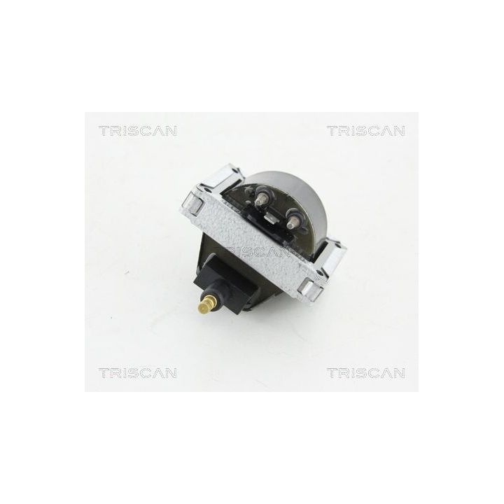 Ritė, uždegimas TRISCAN 8860 25018