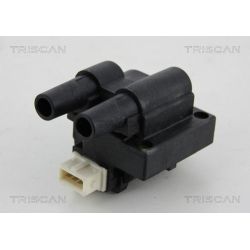 Ritė, uždegimas TRISCAN 8860 25019