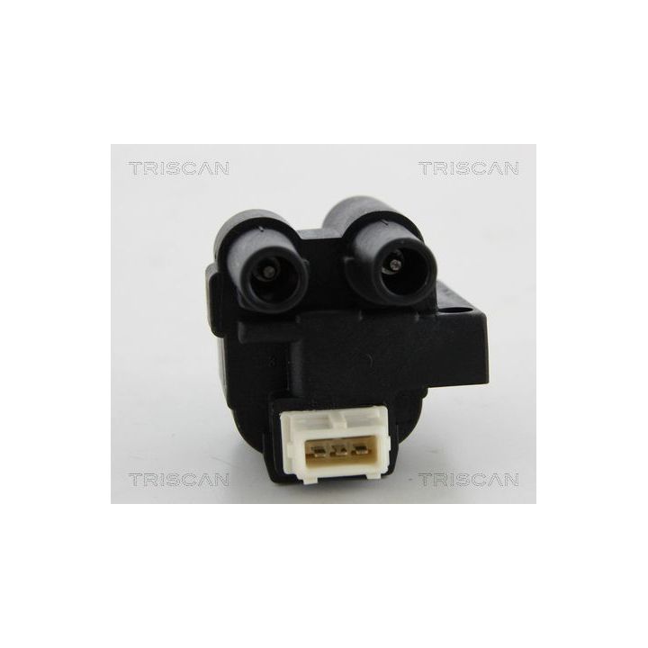 Ritė, uždegimas TRISCAN 8860 25019