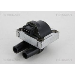 Ritė, uždegimas TRISCAN 8860 25020