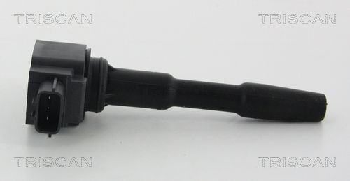 Ritė, uždegimas TRISCAN 8860 25023