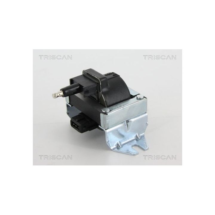 Ritė, uždegimas TRISCAN 8860 25024
