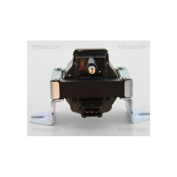 Ritė, uždegimas TRISCAN 8860 25024