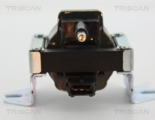 Ritė, uždegimas TRISCAN 8860 25024
