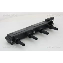 Ritė, uždegimas TRISCAN 8860 28006