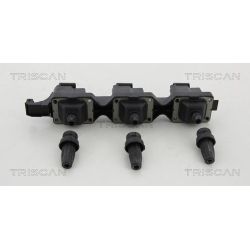 Ritė, uždegimas TRISCAN 8860 28012