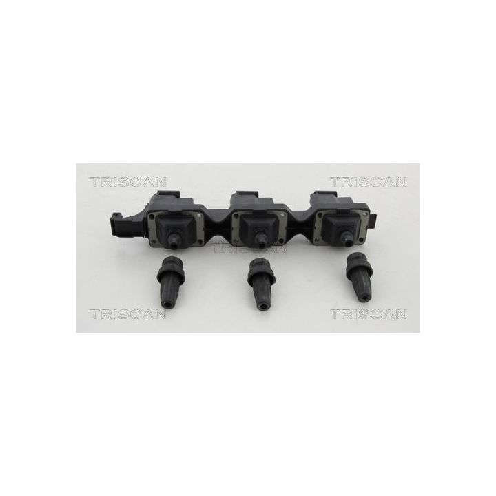 Ritė, uždegimas TRISCAN 8860 28012