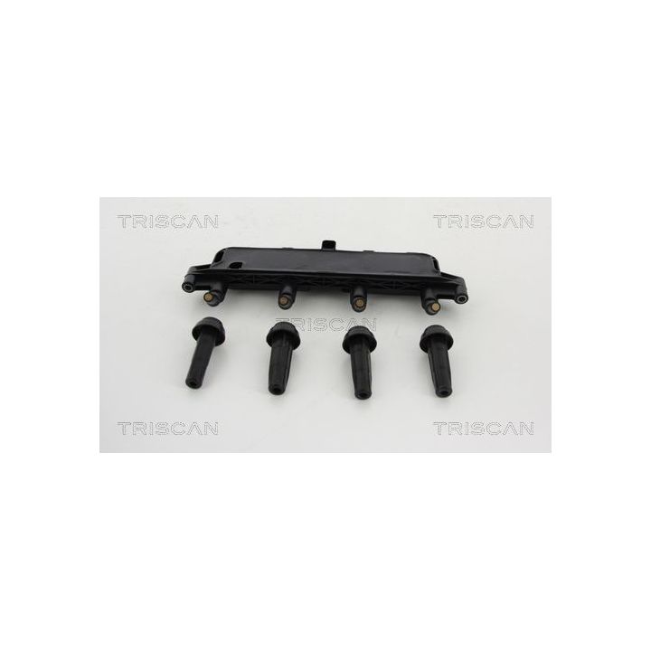 Ritė, uždegimas TRISCAN 8860 28015