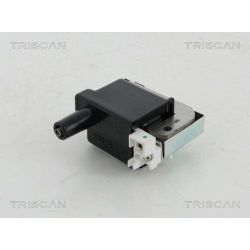 Ritė, uždegimas TRISCAN 8860 40009