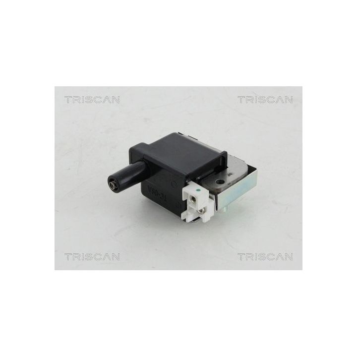 Ritė, uždegimas TRISCAN 8860 40009