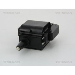 Ritė, uždegimas TRISCAN 8860 40012