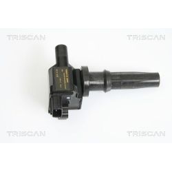 Ritė, uždegimas TRISCAN 8860 43007